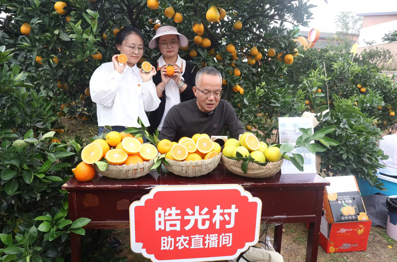 从“提篮叫卖”到“云端吆喝”  宜都“电商快车道”让山货跑得飞快！