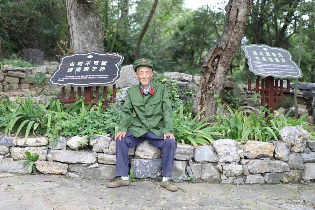 翟保护古树远安发布.jpg